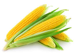 Oka