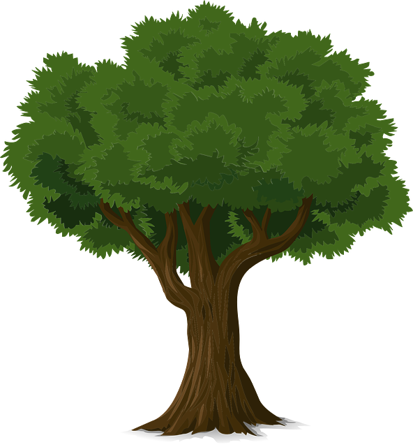 Osisi
